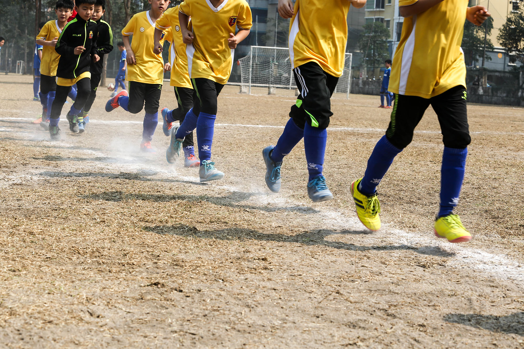 百花小学2011——2010年龄段校队选拔报名